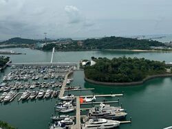 Reflections At Keppel Bay (D4), Condominium #478127451
